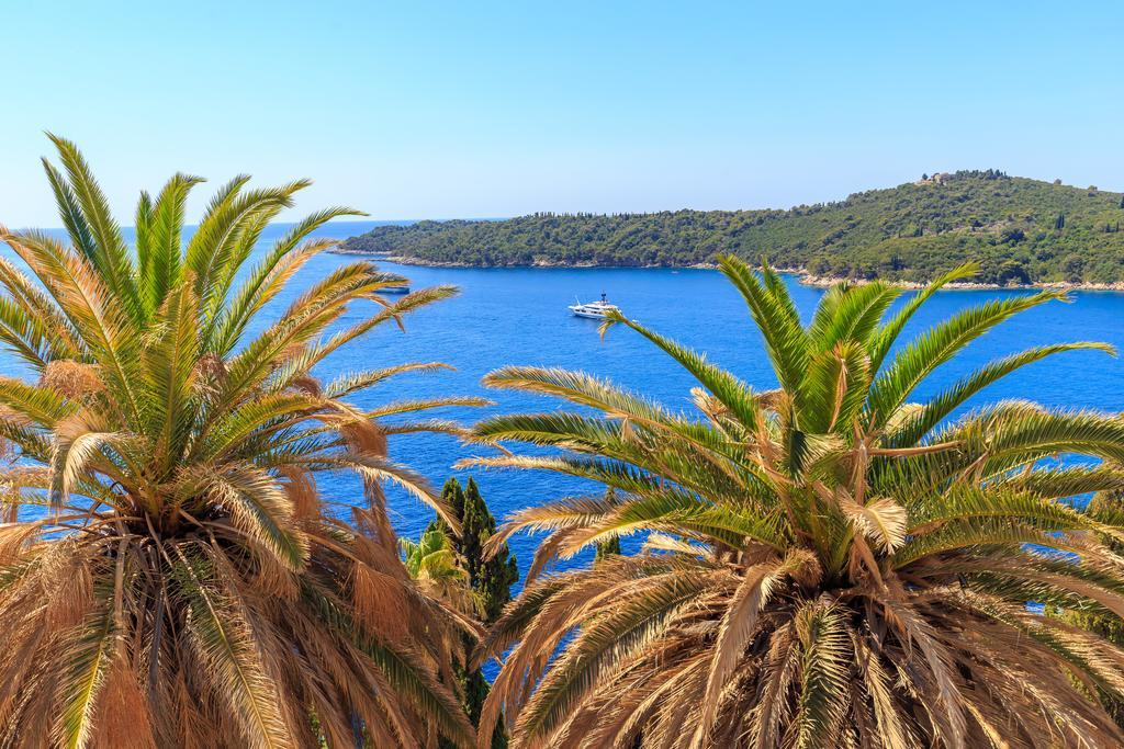 Two Palm Trees Apartment Dubrovnik Exteriör bild